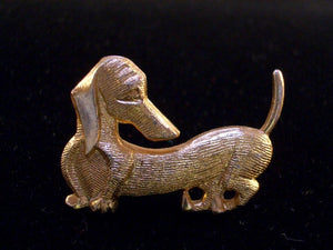 Animals Dashing Dog Lovers Such a Sweet Treat Collectible Gift .....AHHHH
