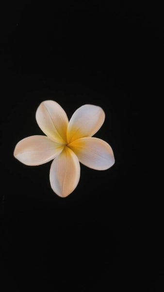 Vintage Frangipani Flower Pin Made in West Germany Mid Century